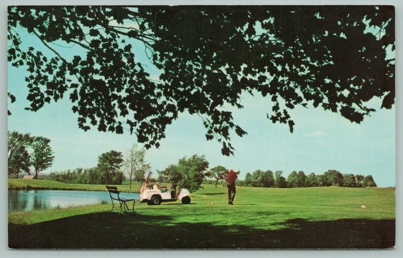 Traverse City Michigan~Elmbrook Golf Course~Golf Cart~Pond~Park Bench~1960's 