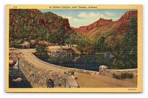 Postcard In Sabino Canyon Near Tucson Arizona