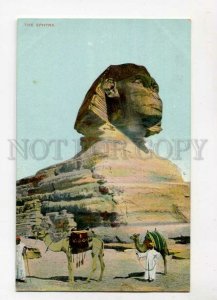 3099073 EGYPT Cairo Sphynx CAMELS drivers Vintage colorful PC