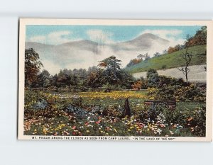 Postcard Mt. Pisgah Among The Clouds As Seen From Camp Laurel North Carolina USA