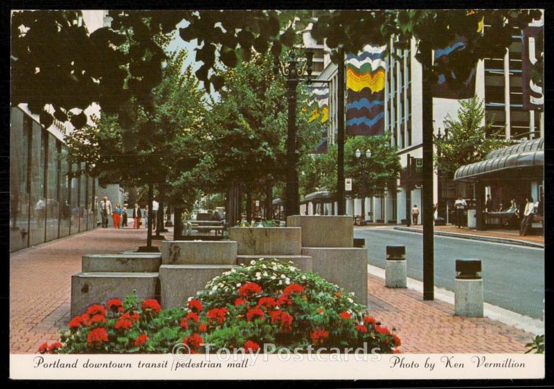 Portland Downtown Transit/Pedestrian Mall