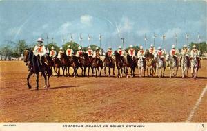 Barbados Mounted Police on Parade Tuck Vintage Postcard J61542