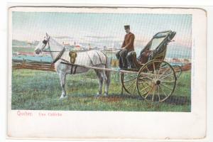 Horse Buggy Caleche Quebec Canada 1910c postcard