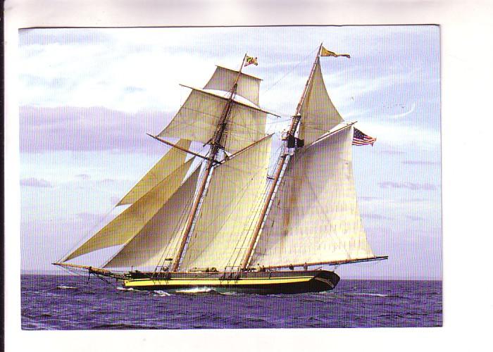 Tall Ship 2000 Race, Pride of Baltimore II, Halifax, Nova Scotia, Chronicle H...