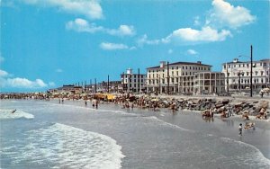 Sun bathers enjoying a wonderful day Cape May, New Jersey  