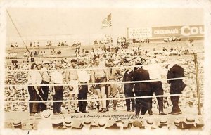 Williard Dempsey Championship Toledo, Ohio, July 4th 1919 Boxing Unused 