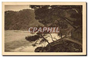 Old Postcard Toulon Trail Mourllon Cape Brown