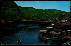 Petty Harbour, Newfoundland, Canada - 1975