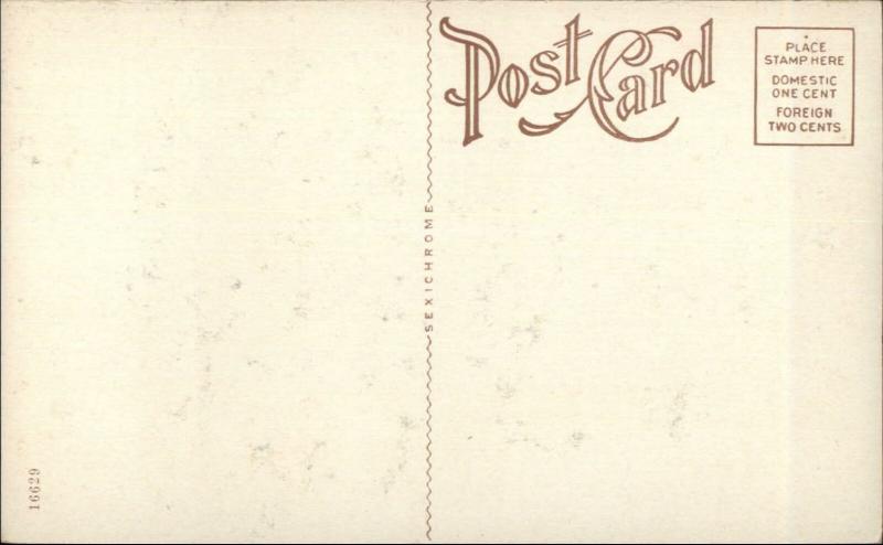 Fort Smith AR Grotto Convent Grounds c1910 Postcard