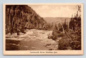 Dartmouth River Marshes Quebec Canada UNP DB Postcard M5