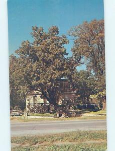 Pre-1980 POST OFFICE SCENE Council Grove Kansas KS AF0896