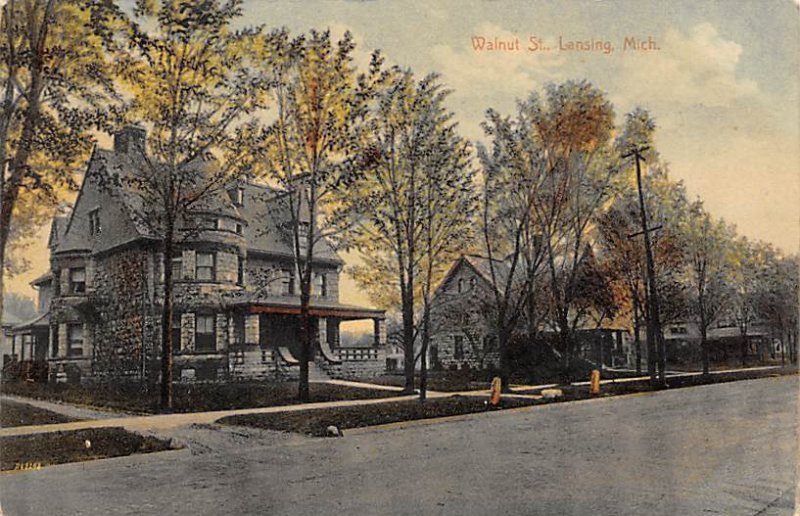 Walnut Street View - Lansing, Michigan MI