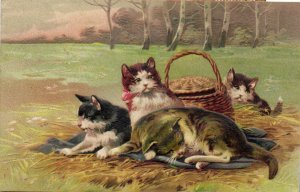 PC CATS, FOUR CATS IN A FIELD, Vintage EMBOSSED Postcard (b47054)