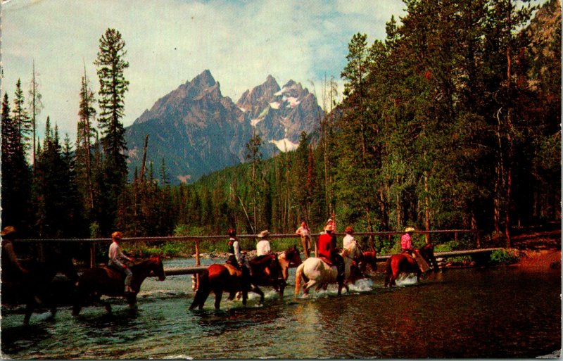 Grand Teton National Park WY Horseback Riding Postcard used (13978)