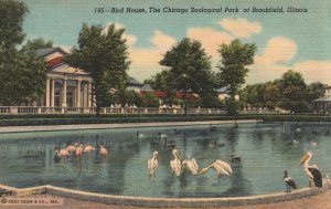 Vintage Postcard Birdhouse the Chicago Zoological Park in Brookfield Illinois IL