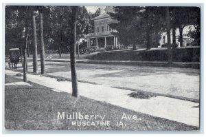 c1910's Mullberry Avenue Horse Carriage Dirt Road Muscatine Iowa IA Postcard