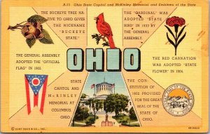 Greetings From Ohio Large Letter Linen Curteich