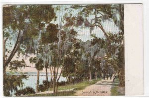 North Walk Ormond Florida 1905c postcard