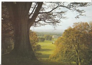 Wiltshire Postcard - Longleat - Warminster - View from Heaven's Gate   DD990