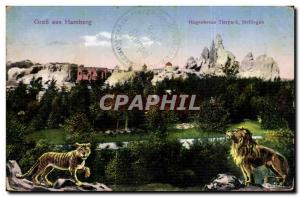 Old Postcard Gruss aus Hamburg Tierpark Stellingen Hagenbacks Lion Tiger