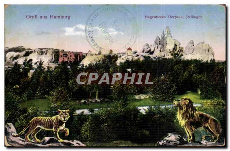 Old Postcard Gruss aus Hamburg Tierpark Stellingen Hagenbacks Lion Tiger