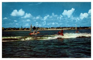 Water Ski Sailing Halifax River Daytona Beach FL Vintage Postcard S10