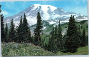 postcard WA - Mt. Rainier  view from Mazama Ridge