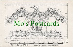 Northumberland Postcard - The Roman Eagle, Corstopitum Museum, Corbridge RS27303