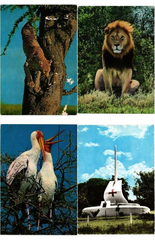 KENYA 96 AFRIQUE AFRICA Postcards CPM Mostly 1950-1990 (L3287)