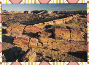 Arizona Petrified Forest Petrified Logs