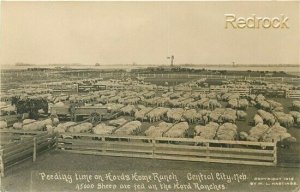 NE, Central City, Nebraska, Hord's Home Ranch, Sheep, M.L. Hastings, RPPC