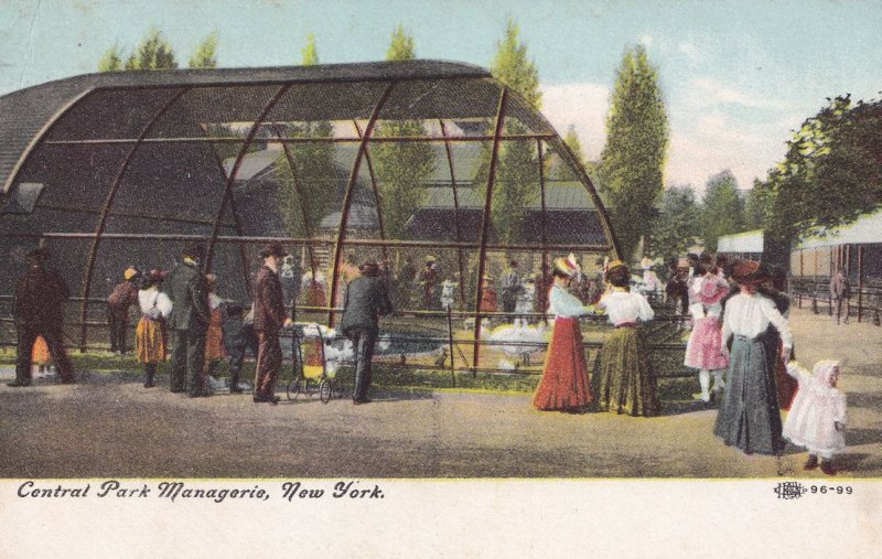 Central Park Menagerie Posted From New York City Station Postcard