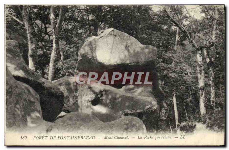 Old Postcard Foret De Fontainebleau montchauvet La Roche Who Think