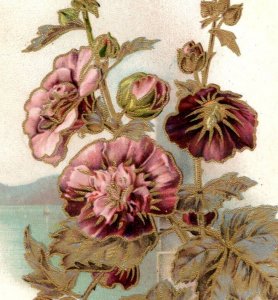 1880s Victorian Christmas Trade Card Beautiful Purple Flowers Hollyhocks? 7E