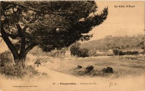 CPA PORQUEROLLES Intériuer de l'Ile (411094)