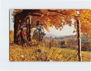 Postcard Fall colors on the mountains, Falls Village, Connecticut