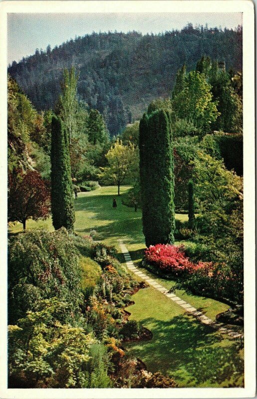 Butchart Gardens Victoria Sunken Limestone Quarry Mountain VTG Postcard WB UNP 