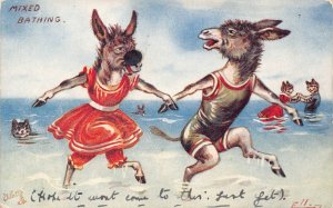 Fantasy Humanized Donkeys at Beach Mixed Bathing Anthropomorphic postcard  B927