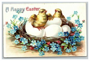 Vintage 1910 Easter Postcard Cute Chicks Eggs in Nest Blue Flowers Nice Card