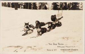 The Dog Team Grouse Mountain Vancouver BC Dogs c1927 UNUSED RPPC Postcard E55