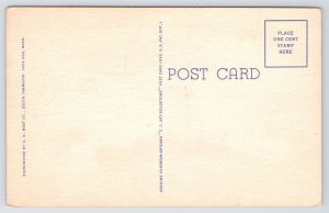 Cape Cod MA~Scenic View Surf & Sand Bluff In Moonlight~Vintage Linen Postcard