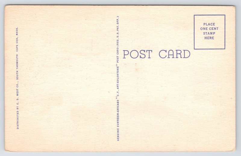 Cape Cod MA~Scenic View Surf & Sand Bluff In Moonlight~Vintage Linen Postcard