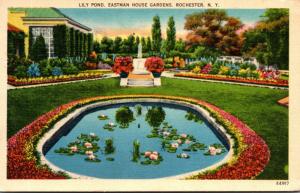 New York Rochester Lily Pond Eastman House Gardens 1941 Curteich