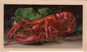 TC: Lobster Front , ARBUCKLE'S Ariosa Coffee, Arbuckle Bros. , New York , 188...