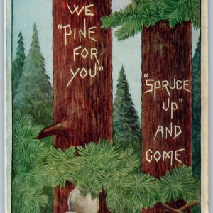 1907 Leota Way Comic Art Anthropomorophic Pine 4 U Spruce Trees Denver, Col A195
