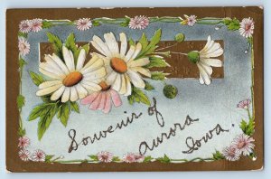 Aurora Iowa Postcard Flower Glitter Embossed Exterior View c1910 Vintage Antique