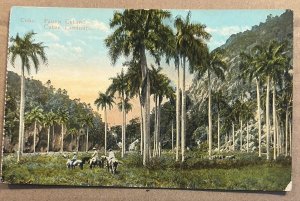 VINTAGE POSTCARD UNUSED - LANDSCAPE, CUBA