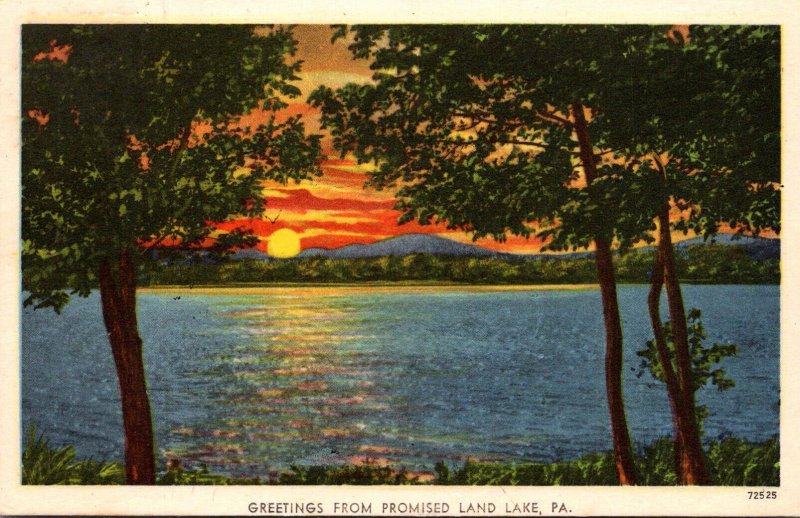 Pennsylvania Greetings From Promised Land Lake 1956