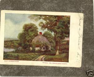 WILLIAMSPORT PA 1905 POSTMARK Postcard