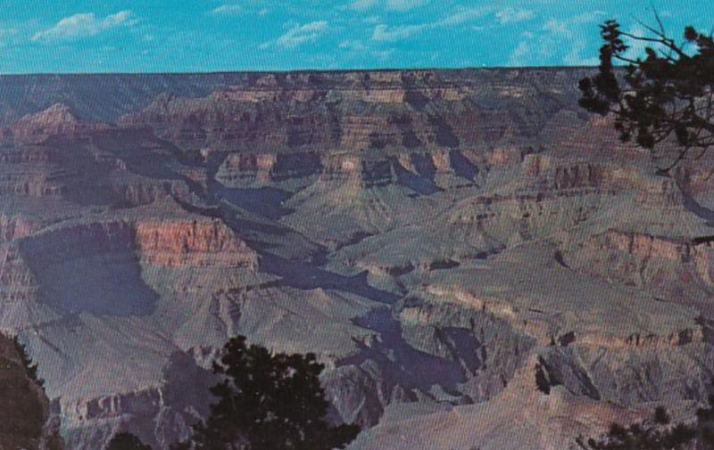 Arizona Grand Canyon Near Pima Point Fred Harvey